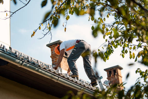 Best Roof Moss and Algae Removal  in Mulvane, KS